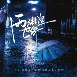 辛雯 - 雨淋湿世界