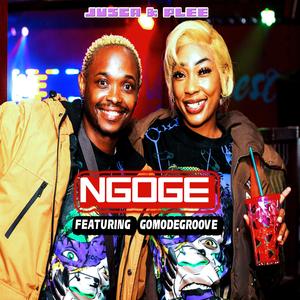 Ngoge (feat. Gomodegroove)