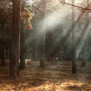 Mente en Equilibrio - Meditación Guiada