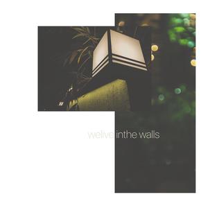 We Live In The Walls (Live)