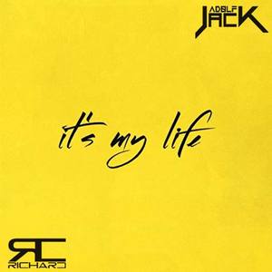 Bon Jovi-It's My Life (Adolf Jack / Richard remix)