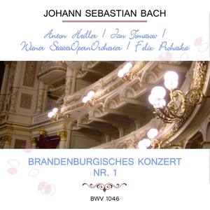 Brandenburgisches Konzert Nr. 1 F Major, BWV 1046: Allegro(1)