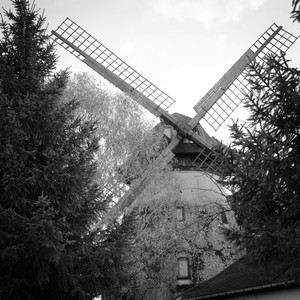 Napauken Feat. Fruiterama