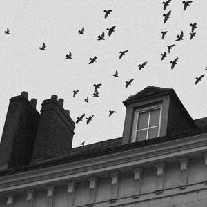 L'horizon est beau (Instrumentale)