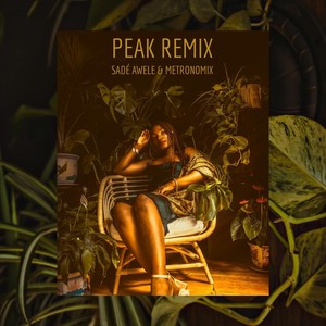 Peak (Remix)