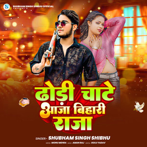 Dhodhi Chate Aaja Bihari Raja