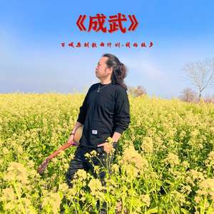 成武（我的故乡）