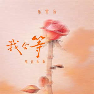 乐雪言 - 我会等 (纯音乐版)