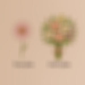 my god's grace (feat. Gahel & Tijane)