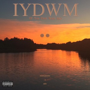 Iydwm(If You Don't Want Me)[feat. Stēv] (Explicit)