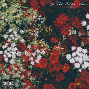 Intro Flow (Explicit)