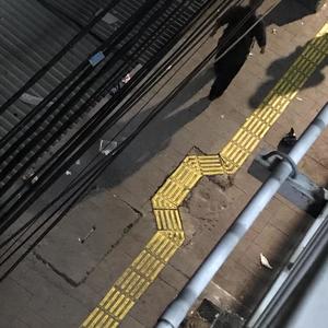 all of this distance