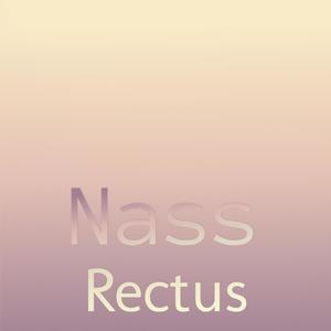 Nass Rectus