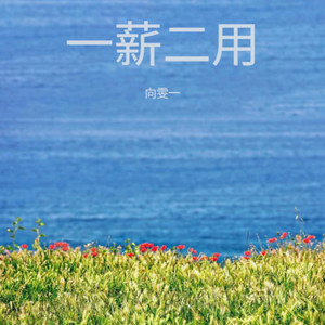 一薪二用 (大展宏图版)