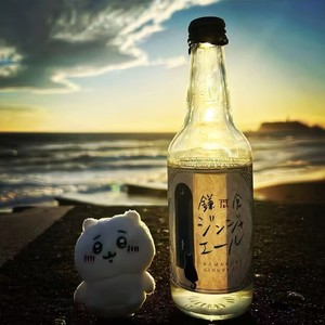 人生若只如初见(Lonely)