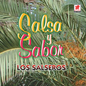 Salsa Y Sabor