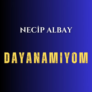 Dayanamıyom