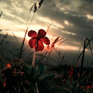 Сделай счастливей (Sakura Remix)