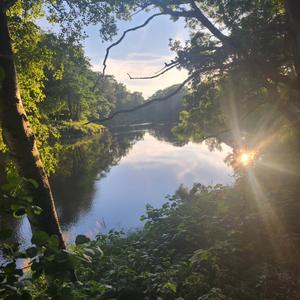 Lokes hemliga **********.