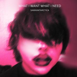 What i want (what i need)