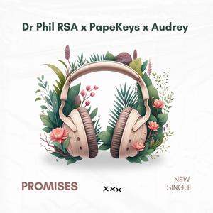 Promises (feat. PapeKeys & Audrey)