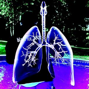 my lungs are black (Explicit)