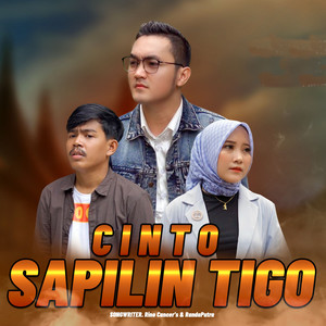 Cinto Sapilin Tigo