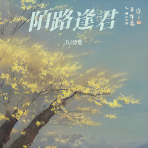 陌路逢君 (DJ诗意 remix)封面