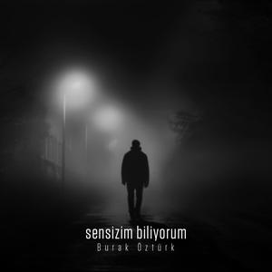 sensizim biliyorum