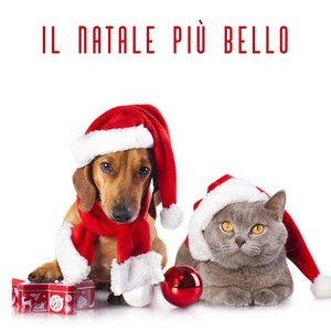 Il Natale Più Bello