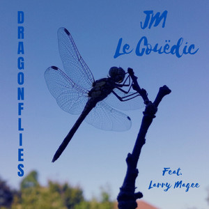 Dragonflies (Everyone Has A Story To Tell)