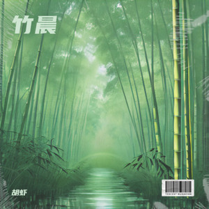 竹林的清晨