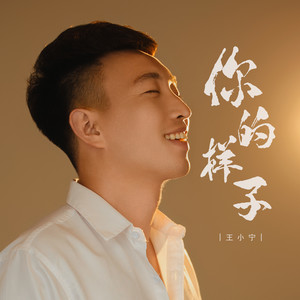 你的样子 (伴奏)封面