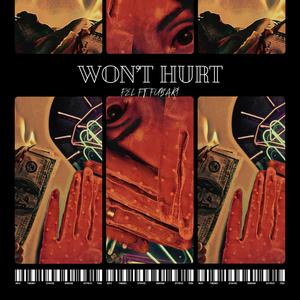 WON'T HURT (feat. FUBAR!) [Explicit]