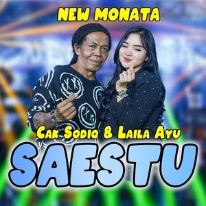 Saestu (feat. Laila Ayu)