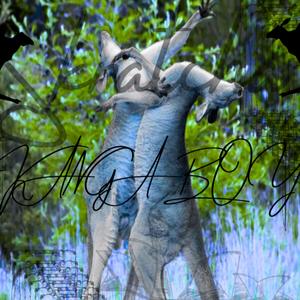 Kanga Boy (Explicit)