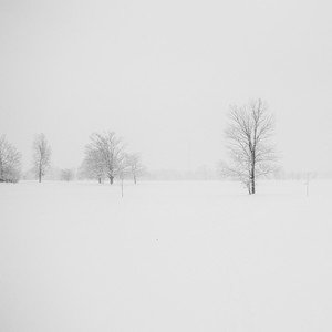 No Coal for Me, Santa