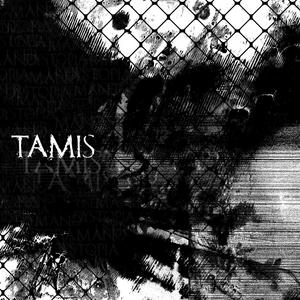 Tamis (feat. user140 & man010) (Explicit)
