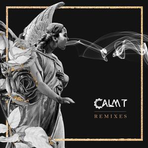 CALM T (Remixes 05 Every day (First Aid 4 Souls club version)