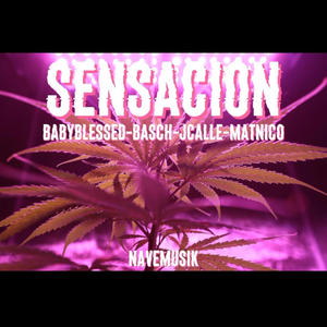 Sensación (feat. Basch & JCalle) [Explicit]