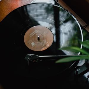 远方 - 陈佳柔 - 不关他的事 (抖音音乐房子版)