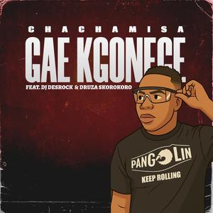 Gae kgonege (feat. DJ desrock & Druza skorokoro)