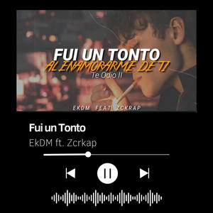Fui un Tonto (feat. Zckrap)