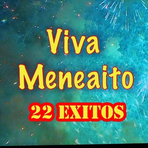 Viva Meneaito: 22 Exitos