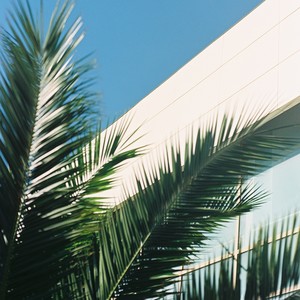 绿美广东（feat.玲子）