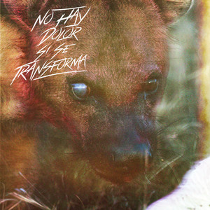 No hay dolor si se transforma (Explicit)