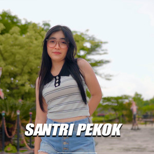 Santri Pekok