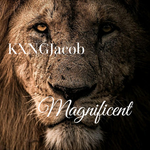 Magnificent (Explicit)
