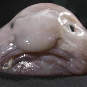 city girl kuno (feat. solum1ne) (Explicit)