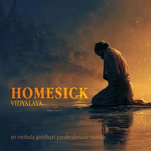 Endless Summer (feat. Sahadev & Vidyalaya)